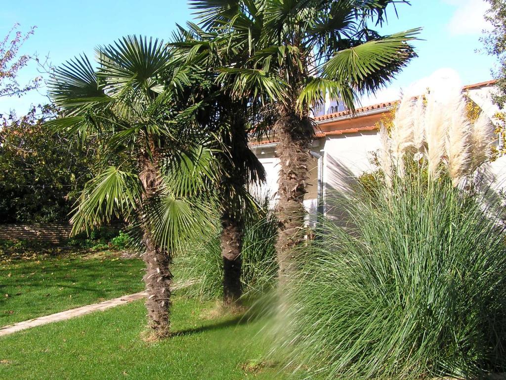 Apartments Oaza Regi Medulin Exterior photo